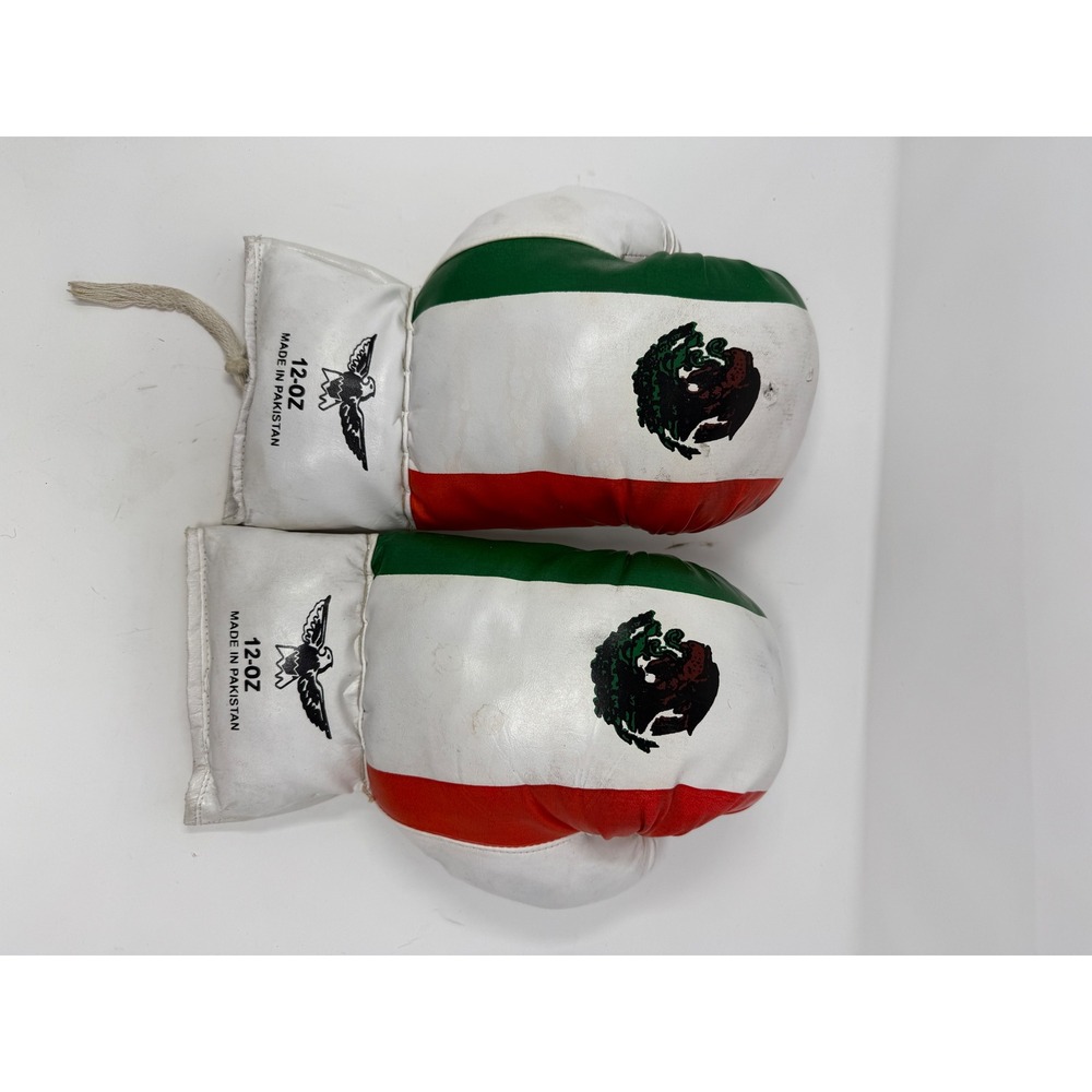 Kids Boxing Gloves 12oz Mexico Flag Colors Training Sparring Punching Heavy Bag